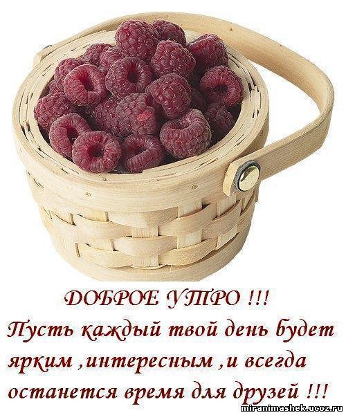 http://miranimashek.ucoz.ru/_ph/130/2/784894495.jpg