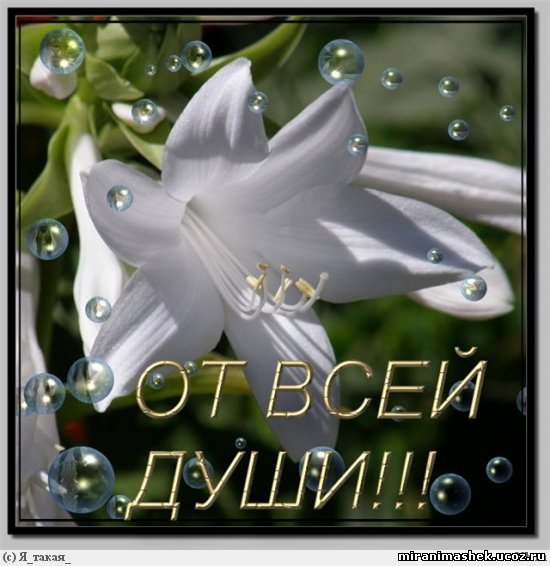 http://miranimashek.ucoz.ru/_ph/135/2/971724117.jpg