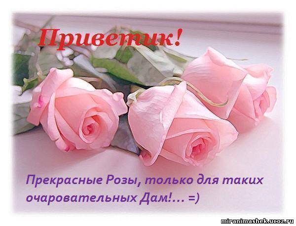 http://miranimashek.ucoz.ru/_ph/138/2/364517801.jpg