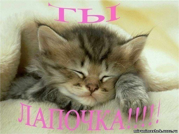 http://miranimashek.ucoz.ru/_ph/139/2/167453816.jpg