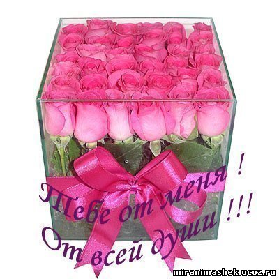 miranimashek.ucoz.ru