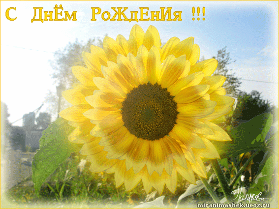 http://miranimashek.ucoz.ru/_ph/228/2/712994994.gif