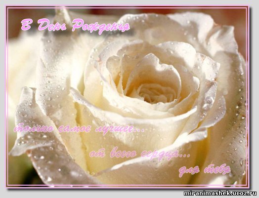 http://miranimashek.ucoz.ru/_ph/237/2/840575018.jpg