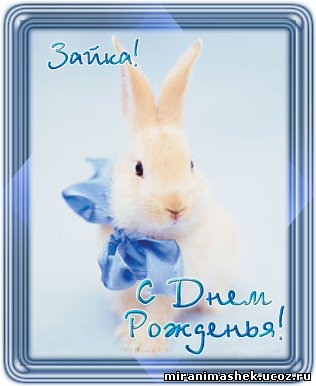 http://miranimashek.ucoz.ru/_ph/237/2/930251252.jpg