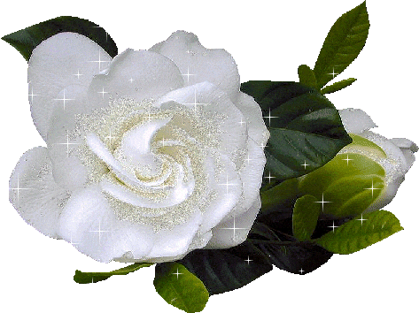 http://miranimashek.ucoz.ru/_ph/313/2/983643014.gif