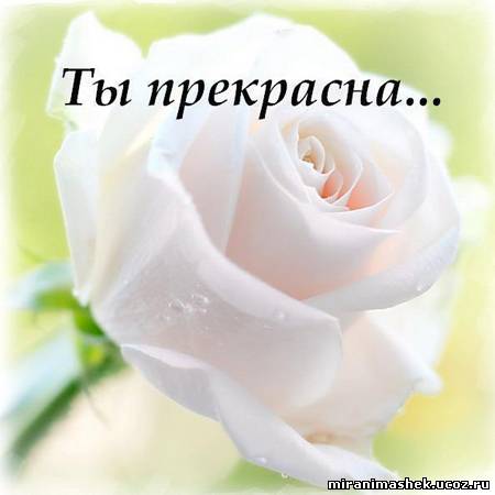 http://miranimashek.ucoz.ru/_ph/375/2/762606194.jpg