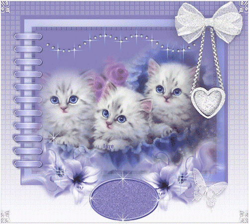Картинки с котятами 522128831