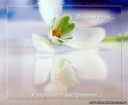 http://miranimashek.ucoz.ru/_ph/130/2/264632251.jpg