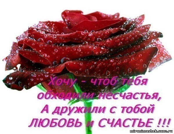 http://miranimashek.ucoz.ru/_ph/134/2/864835822.jpg