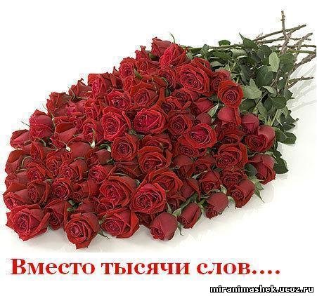 http://miranimashek.ucoz.ru/_ph/135/2/632512820.jpg