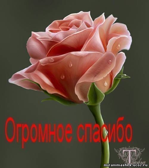 http://miranimashek.ucoz.ru/_ph/140/2/354568362.jpg