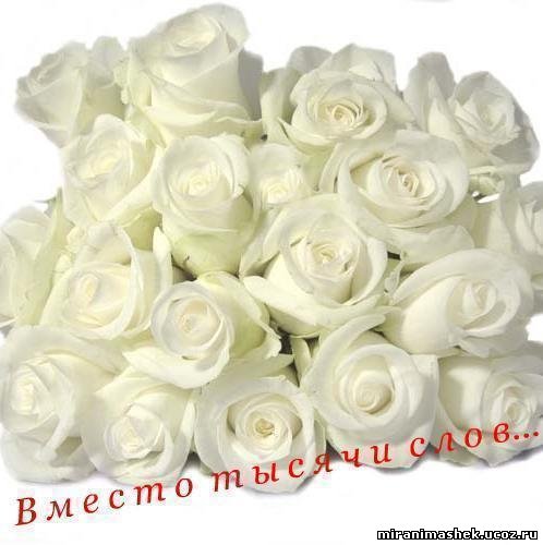 http://miranimashek.ucoz.ru/_ph/206/2/402951844.jpg