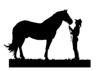 Анимация Кони, лошади, анимационные картинки Кони, лошади